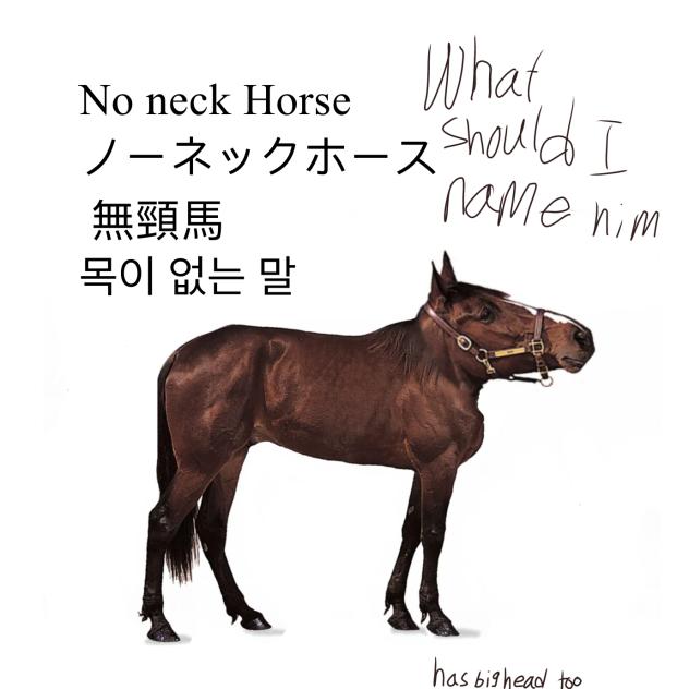 a NO NECK Horse pretty cool, right