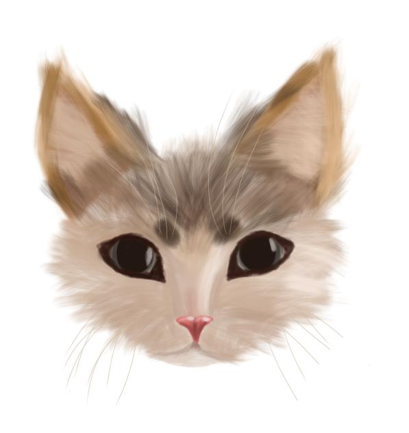 KRNENSJEHWJWHHWWJHWWJWJWSJSSEWSWKWJEJWJJ