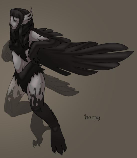 harpyyyy