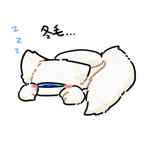ねこﾁｬﾝ