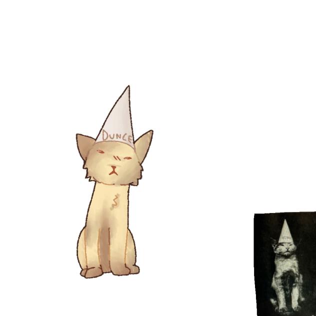 Dunce