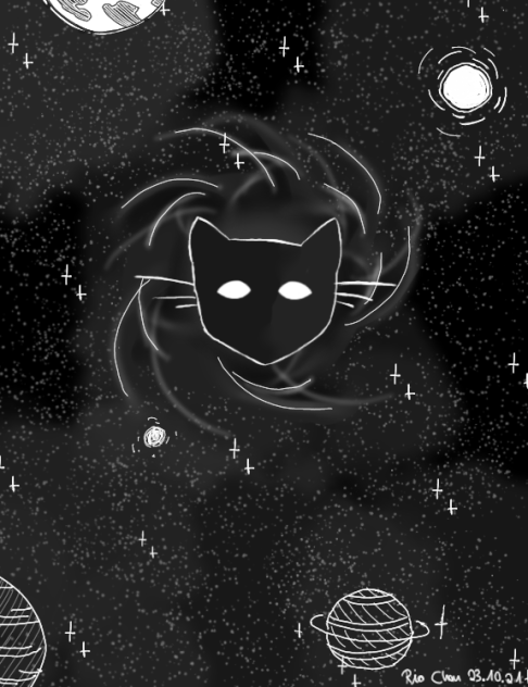 Black hole cat space🌌