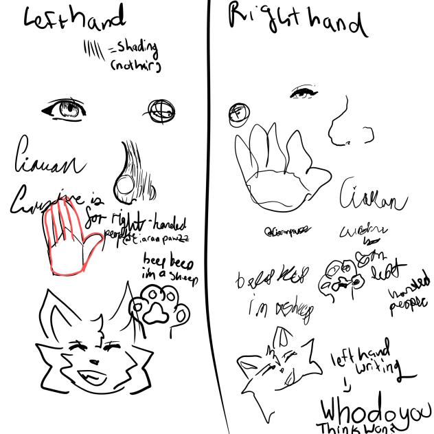 left hand vs right hand