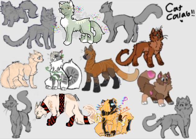 cat collab!