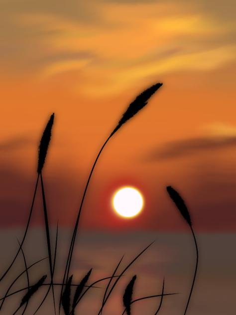 Afternoon...