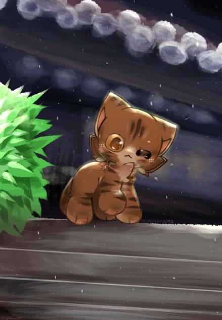 毛毛雨中。。。