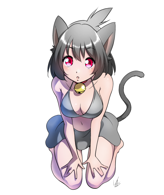 ＷＦ猫田猫美