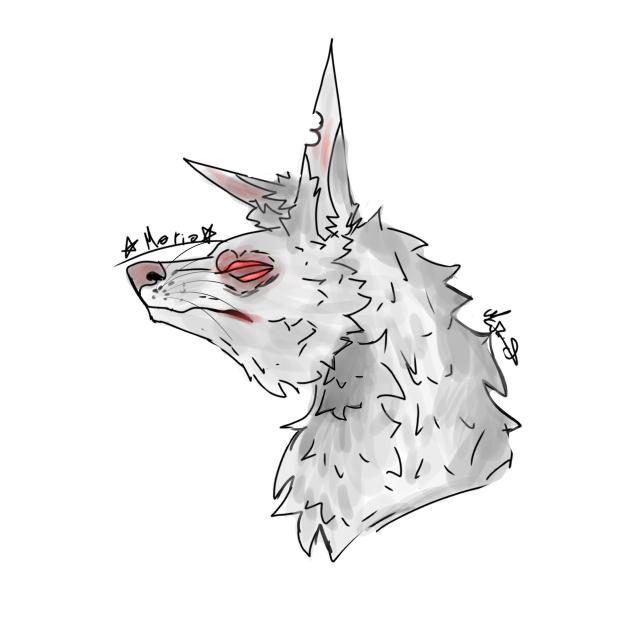 random doodle