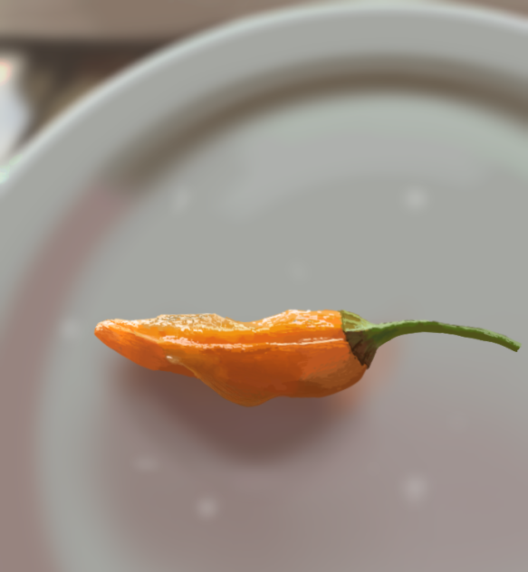 A single pepper on a plate #2