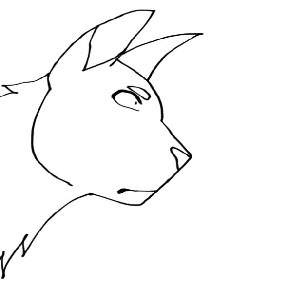 Animation test