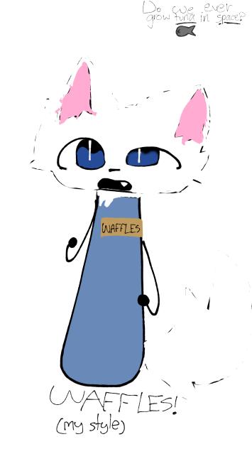 waffles 🥰
