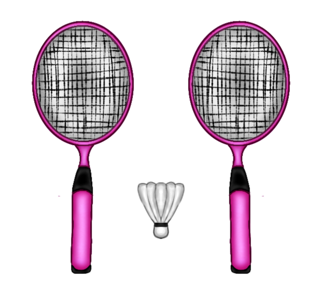 Badminton 🏸