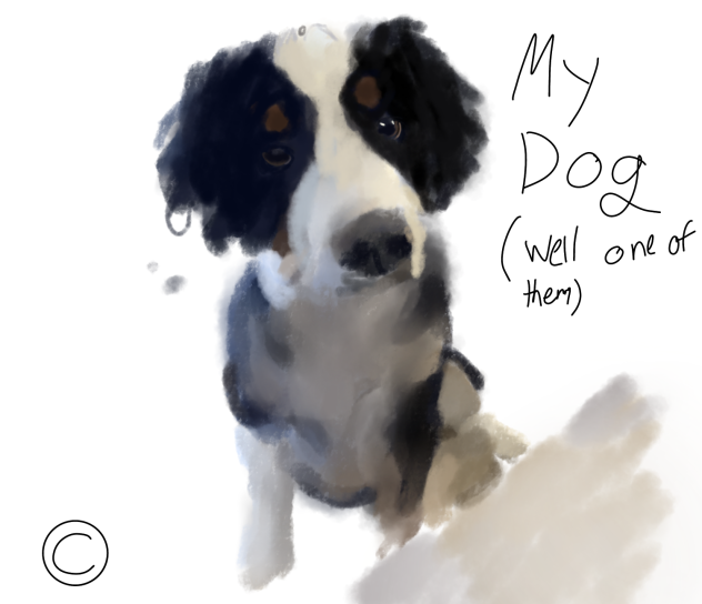 My dog (I failed at this)