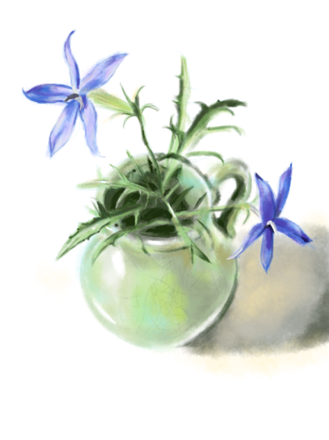 青磁色とイソトマ