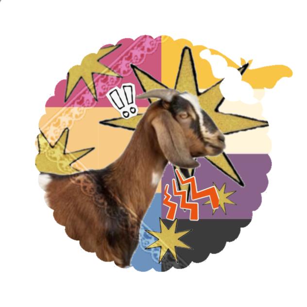 pfp