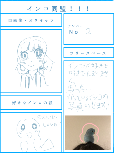 インコ同盟自分でやってみた