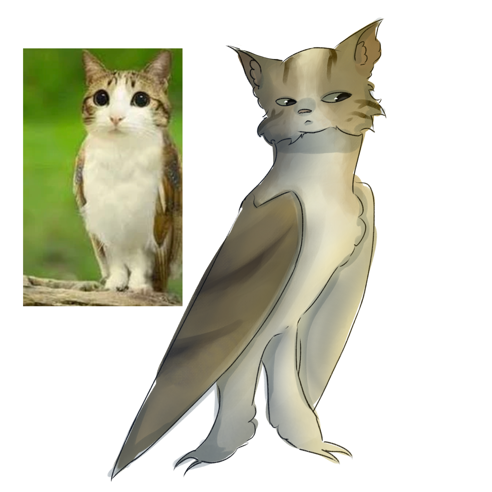 meowl - ibisPaint