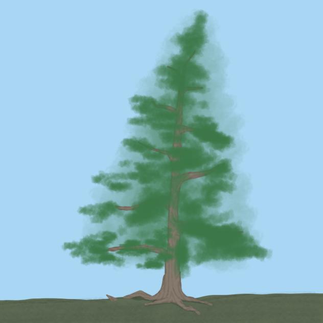 Pine treeeeee