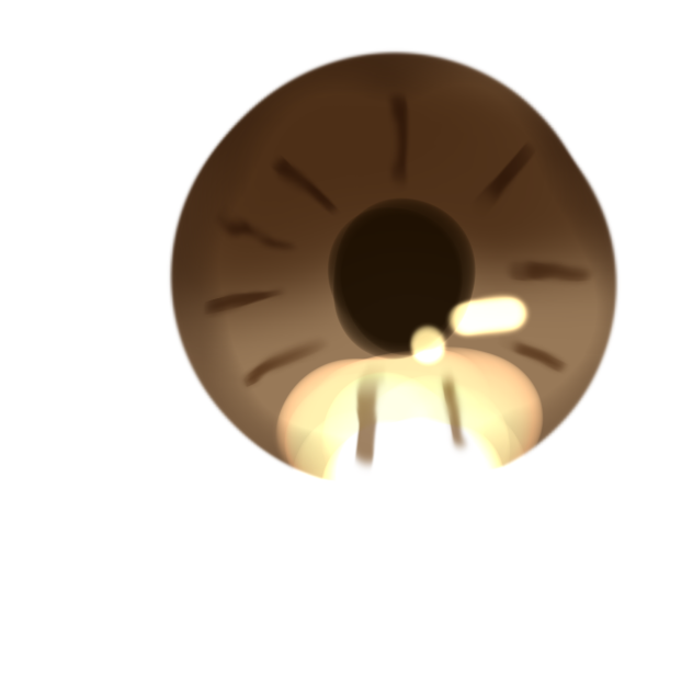Eye