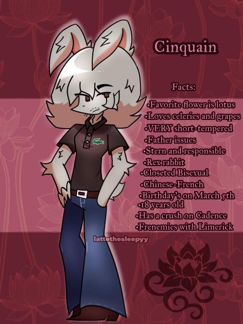 Cinquain info sheet reupload