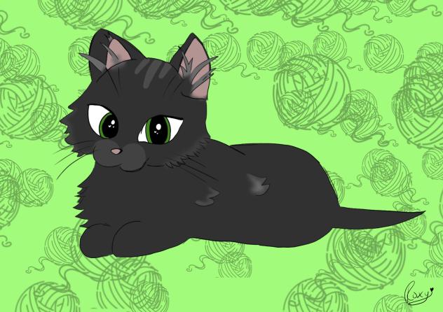Kitty Cat 😽🧶