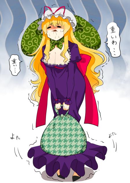 重い物を運ぶ紫様