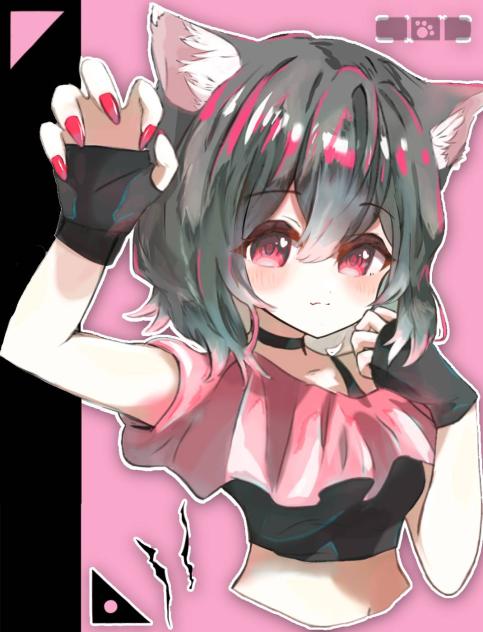 cat＆catch3