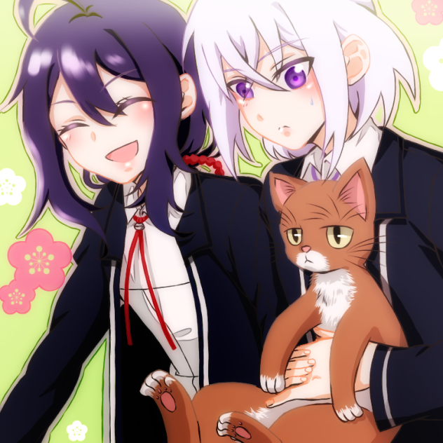 猫、可愛いね(^^)