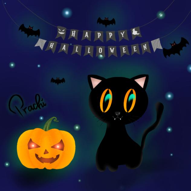 Happy Halloween 🎃🐾