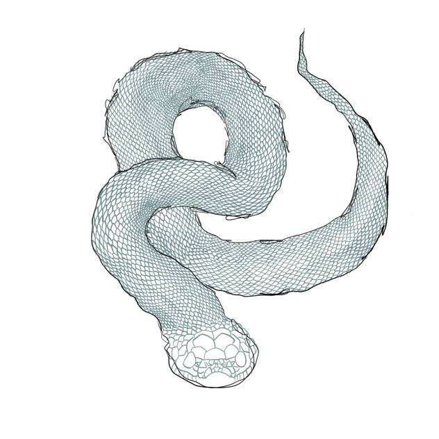 ヘビ　Snake