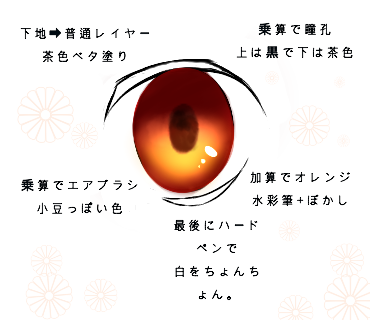 おめめの説明