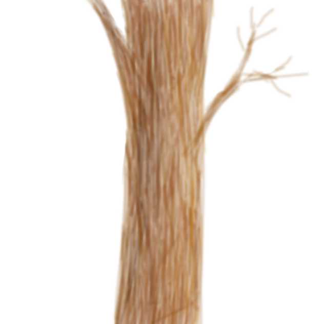 Tree trunk - ibisPaint