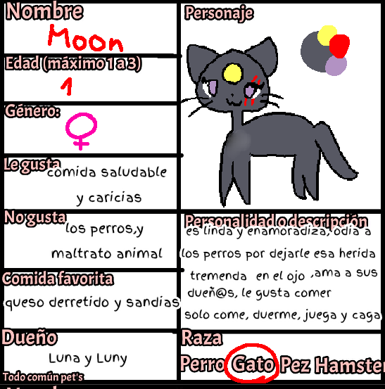 Para Asiul😺