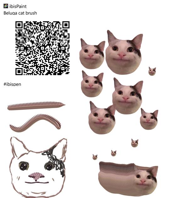 Beluga cat meme brush🐈