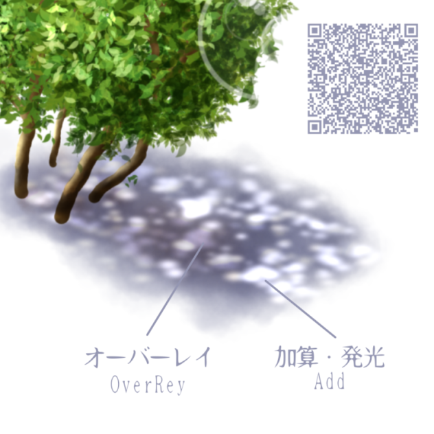 木漏れ日  sunlight filtering through trees