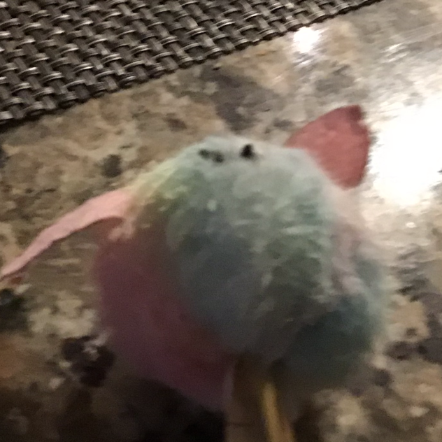 Pen