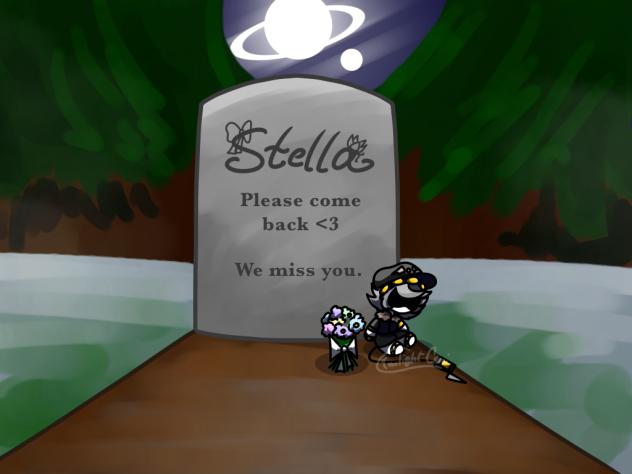Stella collab