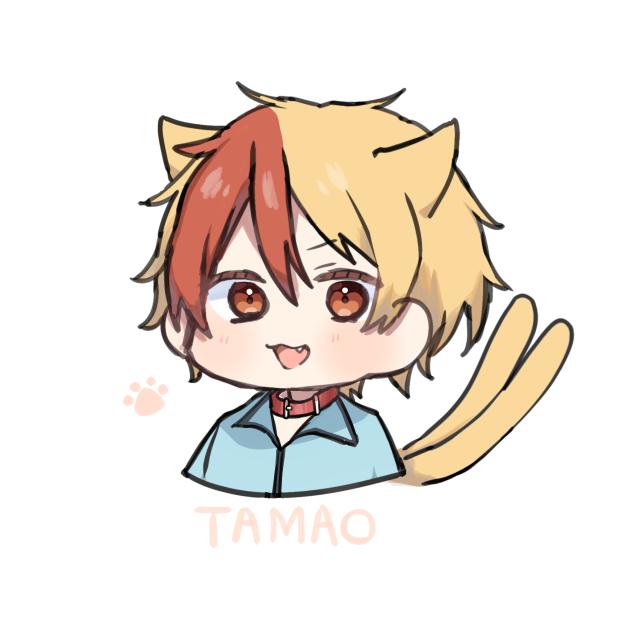 🐱