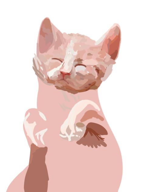Should I finish this…