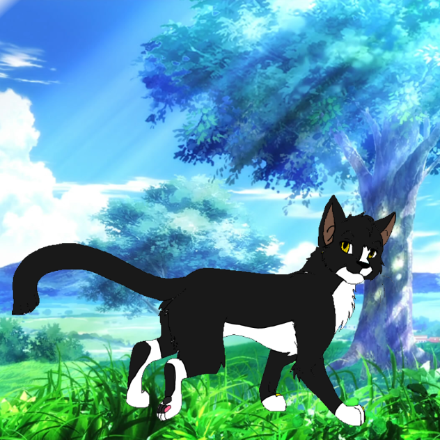 my cat Lilly - ibisPaint