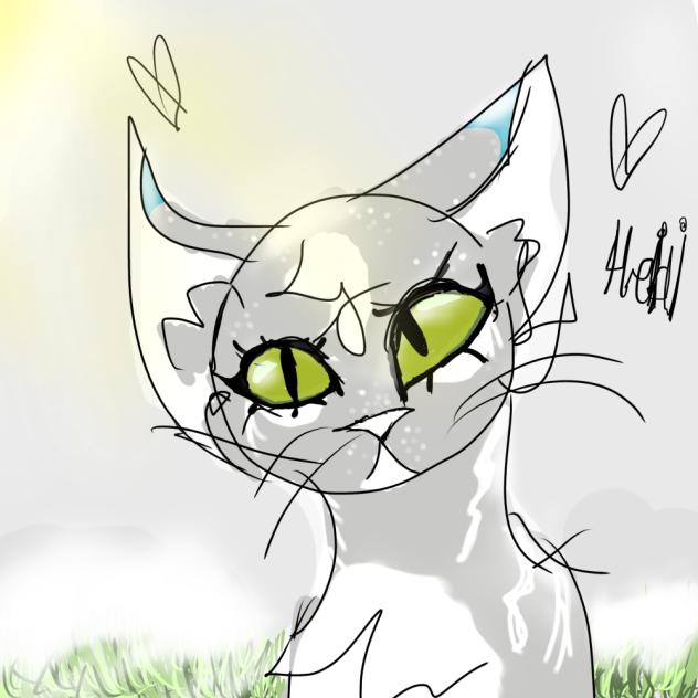 Meowwww