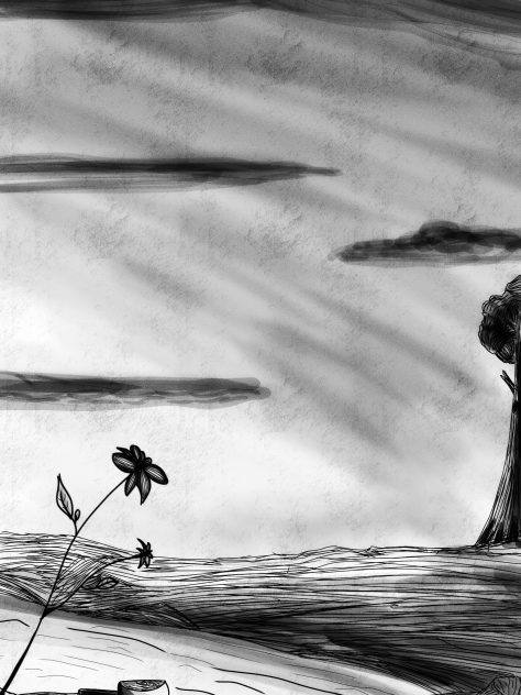 The landscape