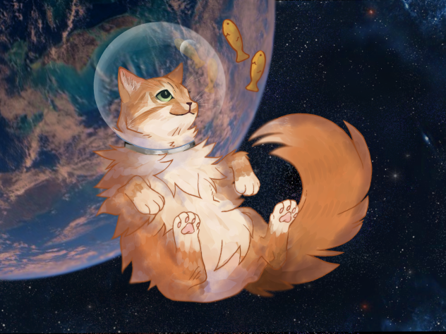 space cat - ibisPaint
