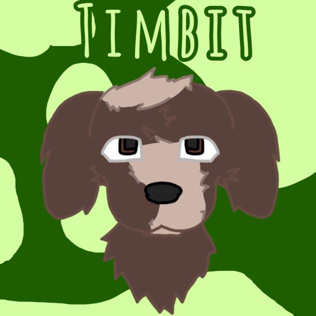 Timbit ESSA art