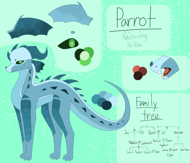 ✨️Parrot reference sheet✨️
