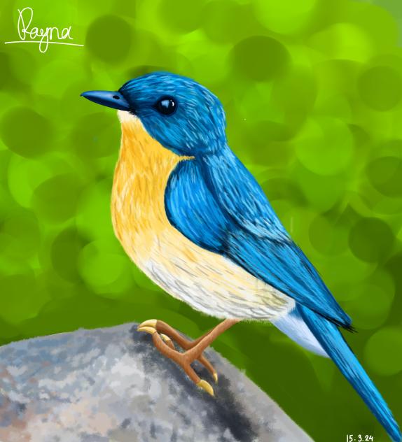 Drawing of bird.
