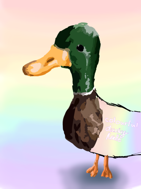 Cute Duck