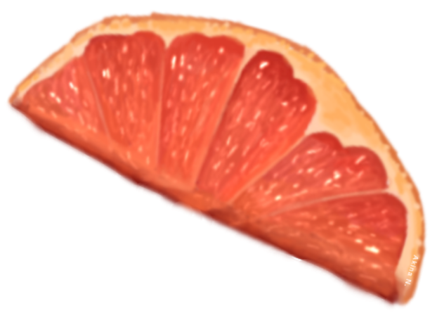 Grapefruit Clip Art