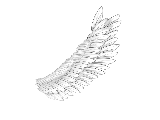 Wingsssssssssssssss-