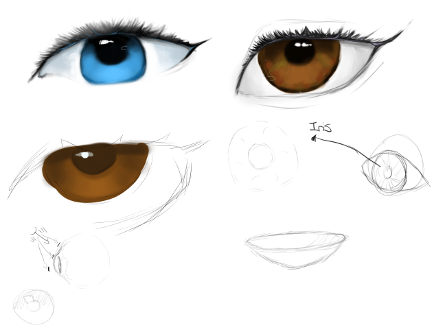 Eye study